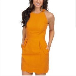 Lauren James Landry Dress